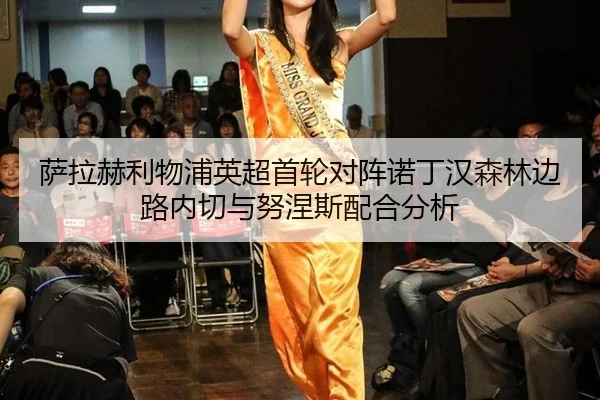 sa-la-he-li-wu-pu-ying-chao-shou-lun-dui-zhen-nuo-ding-han-sen-lin-bian-lu-nei-qie-yu-nu-nie-si-pei-he-fen-xi-3-457.jpg